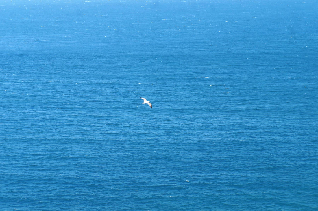 靈感啟發海洋木盤與海洋畫的創作之旅