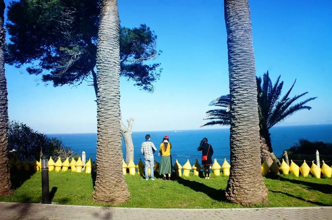 A Journey of Healing: Blue Therapy and Nature Therapy in Morocco's Atlantic Ocean